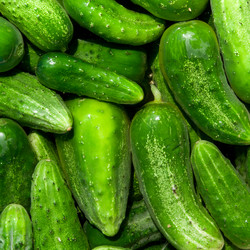 Similar image 1198311