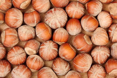 Similar image 1198314