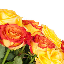 Similar image 1198316