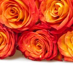 Similar image 1198318