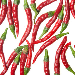 Similar image 1198321