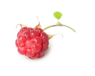 Similar image 1198343