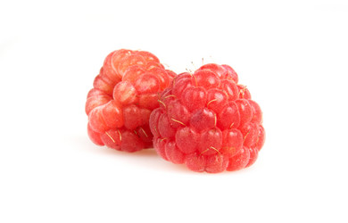 Similar image 1198345