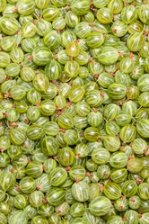 Similar image 1198351