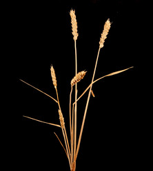 Similar image 1198365