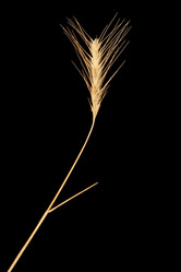 Similar image 1198366