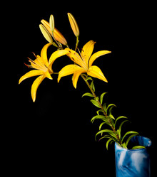 Similar image 1198368