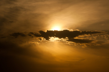 Similar image 1198372