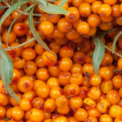 Similar image 1198376