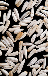 Similar image 1198377