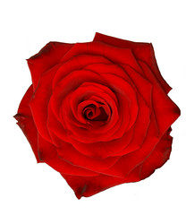 Similar image 1198378