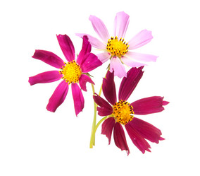 Similar image 1198379