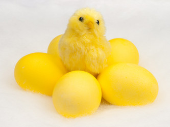 Similar image 1198382