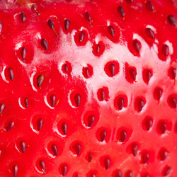 Similar image 1198385