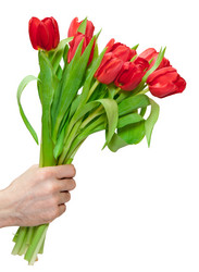 Similar image 1198386