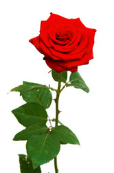 Similar image 1198389