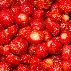 Similar image 1198394