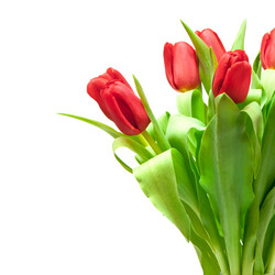 Similar image 1198401