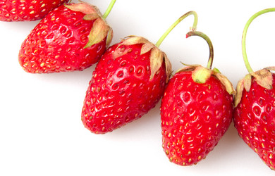 Similar image 1198402