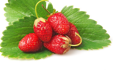 Similar image 1198403