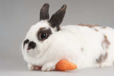 Similar image 1198410