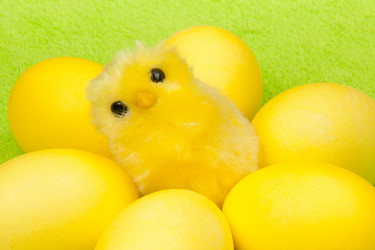 Similar image 1198411