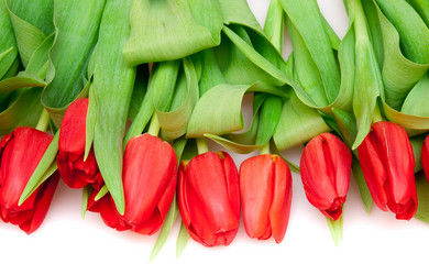 Similar image 1198412