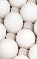 Similar image 1198422