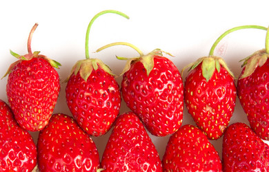 Similar image 1198426