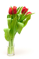 Similar image 1198428