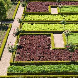 Similar image 1198431