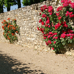 Similar image 1198435