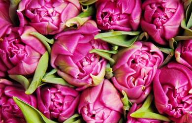 Similar image 1198436