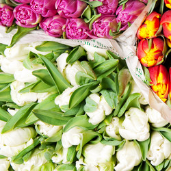 Similar image 1198437