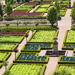 Similar image 1198439