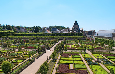 Similar image 1198440