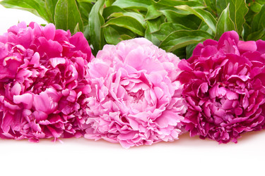 Similar image 1198443