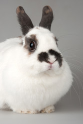 Similar image 1198444