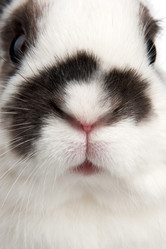 Similar image 1198445