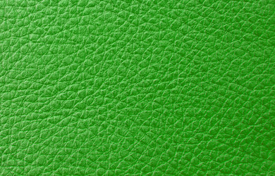 Similar image 1198446