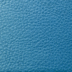 Similar image 1198447