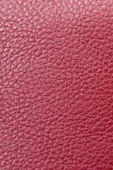 Similar image 1198448