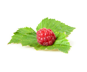 Similar image 1198458