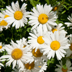 Similar image 1198460