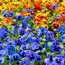 Similar image 1198464