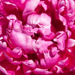 Similar image 1198468