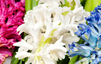 Similar image 1198469