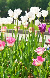 Similar image 1198472