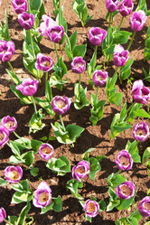 Similar image 1198473