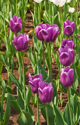 Similar image 1198474